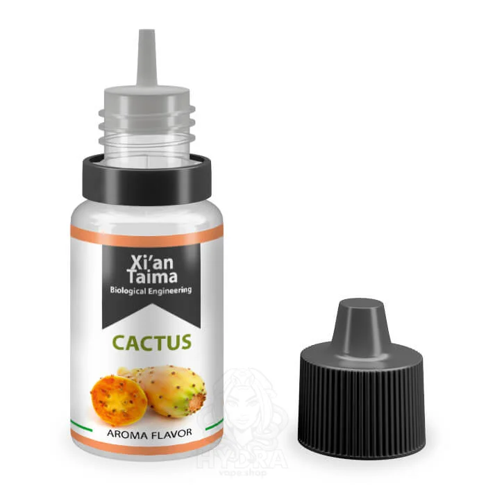 Ароматизатор Xian Taima Cactus (Кактус) — 3